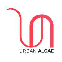 Urban Algae