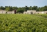 Bordeaux et ses vignobles