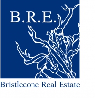 Bristlecone Real Estate