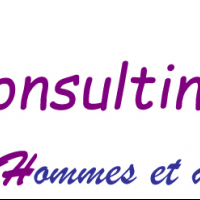 Mhp Consulting