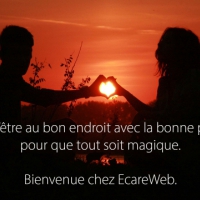 Ecareweb France