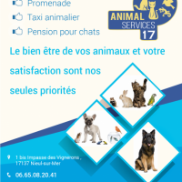 Animal Services 17