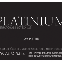Platinium International Protech