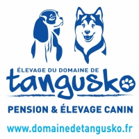 Elevage Du Domaine De Tangusko | Finnois De Laponie - Cavalier King Charles