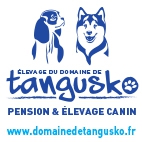 Elevage Du Domaine de Tangusko | Finnois de Laponie - Cavalier King Charles