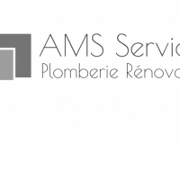 Ams Services