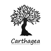 CARTHAGEA MANAGEMENT