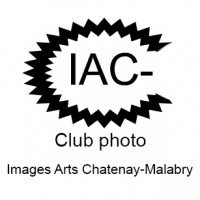 Images Arts Chatenay Malabry