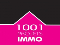 1001 PROJETS IMMO