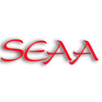 SEAA - Surveillance Electronique d'Articles Antivol