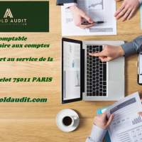 Arold Audit &accountancy