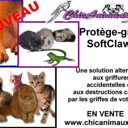 Chicanimaux