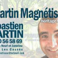 Martin Magnétiseur