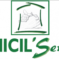 Domicil'services 31.