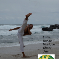 Capoeira Semente Viva