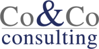 CO&CO CONSULTING