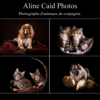 Aline Caid Photos