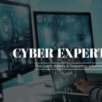 Cyber Expertises