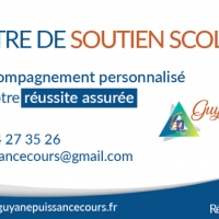 Guyane Puissance Cours