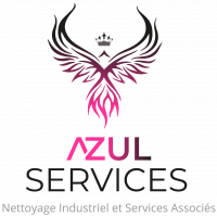 AZUL SERVICES