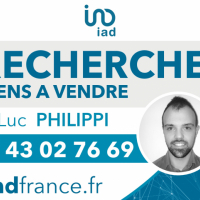 Luc Philippi Iad France