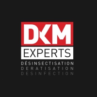 Dkm Experts Holding