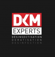 DKM EXPERTS HOLDING