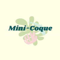 Mini Coque