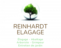 Reinhardt Elagage