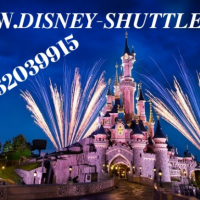 Disney-Shuttle