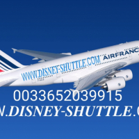 Disney-Shuttle