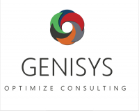 GENISYS OPTIMIZE CONSULTING