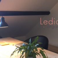Ledicia-Organisation