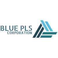BLUE PLS CORPORATION