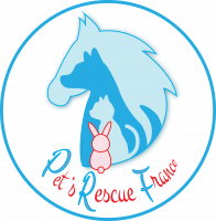Pet's Rescue France