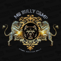 Mb Bully Camp