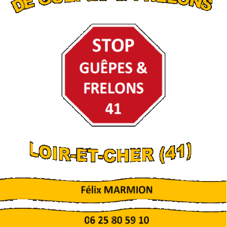 Stop Guêpes Et Frelons 41