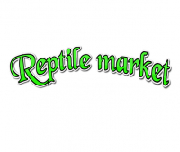 reptile market