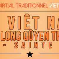 Vo-Viet-Nam Club De Saint-Etienne