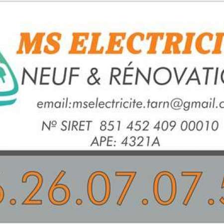 Ms Electricite
