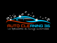 AUTO CLEANNING