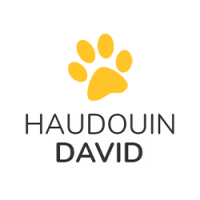 HAUDOUIN DAVID