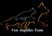 Von Angelius Team