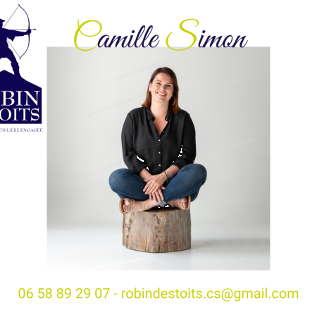 Camille Simon - Robin Des Toits - Agence Immobilière Solidaire