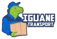 Iguanetransport.com