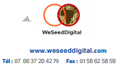 We Seed Digital-Emmanuel MENDY