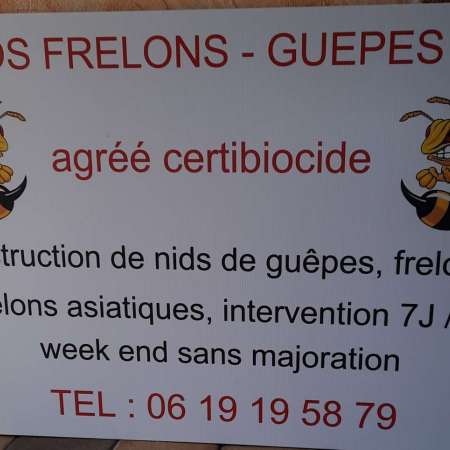 Sos Frelons-Guepes 27