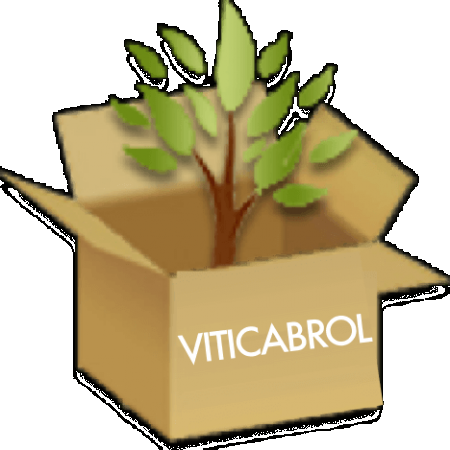 Viticabrol Pere & Fils