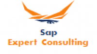 SAP EXPERT CONSULTING