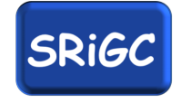 SRiGC Ingénierie Génie Civil